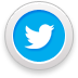 Twitter Icon